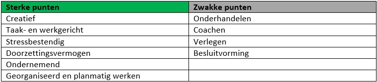 Ondernemerskwaliteiten voorbeeld