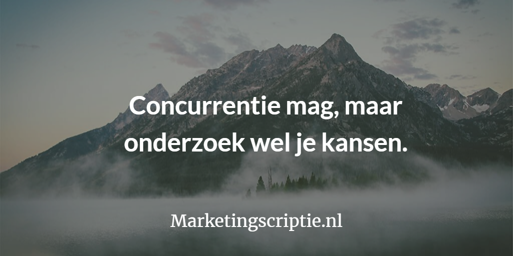 Onderzoek de markt als je een eigen webshop start