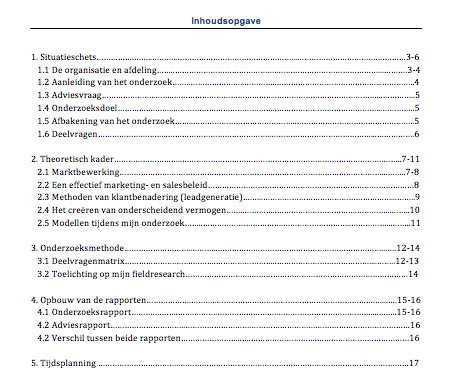 Plan van Aanpak voorbeeld