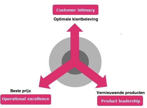 Treacy en Wiersema invullen