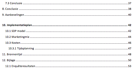 Strategisch marketingplan voorbeeld