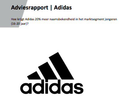 Strategisch marketingplan adviesrapport